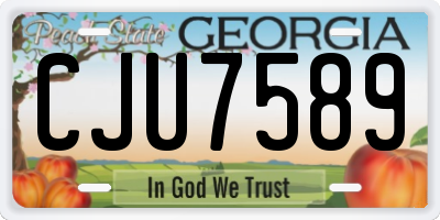 GA license plate CJU7589