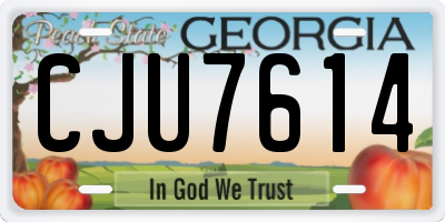GA license plate CJU7614