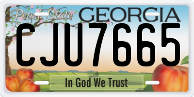 GA license plate CJU7665