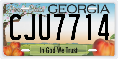 GA license plate CJU7714