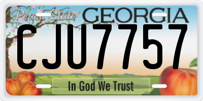 GA license plate CJU7757