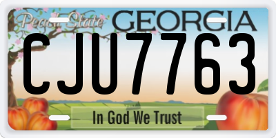 GA license plate CJU7763
