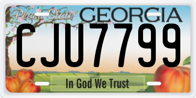 GA license plate CJU7799