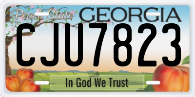 GA license plate CJU7823