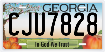 GA license plate CJU7828