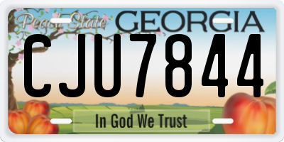 GA license plate CJU7844