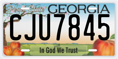 GA license plate CJU7845