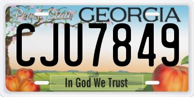 GA license plate CJU7849