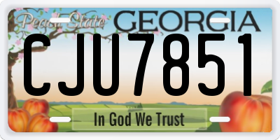 GA license plate CJU7851