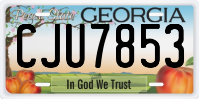 GA license plate CJU7853
