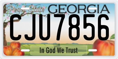 GA license plate CJU7856