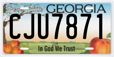 GA license plate CJU7871