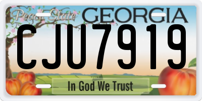 GA license plate CJU7919