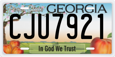 GA license plate CJU7921