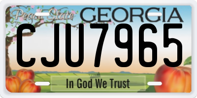 GA license plate CJU7965