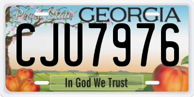 GA license plate CJU7976