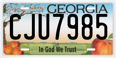 GA license plate CJU7985