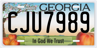 GA license plate CJU7989