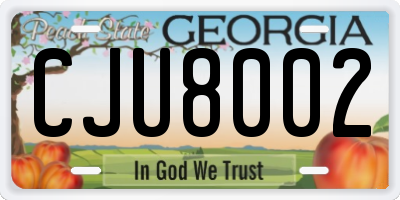 GA license plate CJU8002