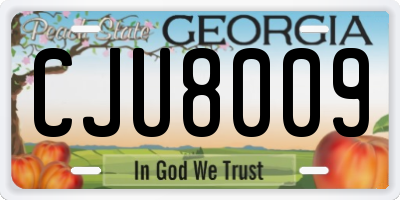 GA license plate CJU8009