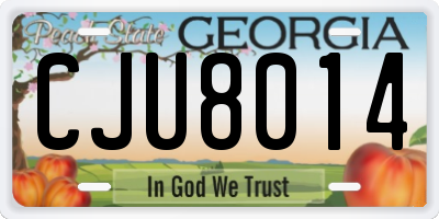 GA license plate CJU8014