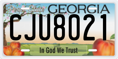 GA license plate CJU8021
