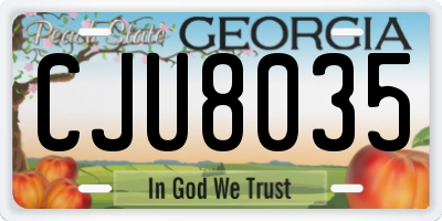 GA license plate CJU8035