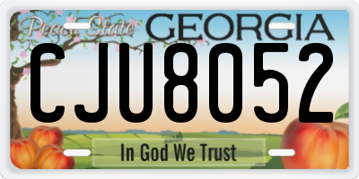 GA license plate CJU8052