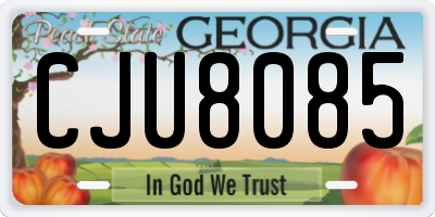 GA license plate CJU8085