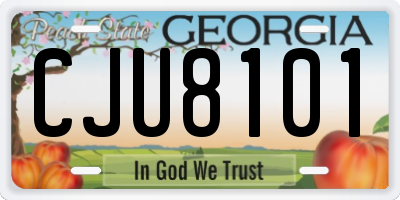 GA license plate CJU8101