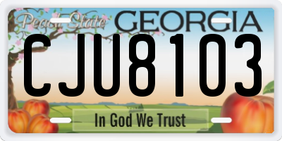 GA license plate CJU8103