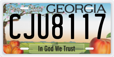 GA license plate CJU8117