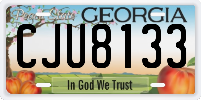 GA license plate CJU8133
