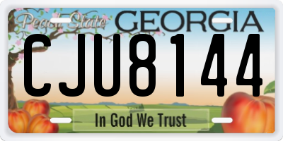 GA license plate CJU8144
