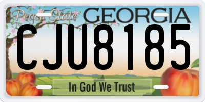 GA license plate CJU8185
