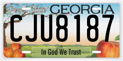 GA license plate CJU8187