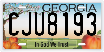 GA license plate CJU8193