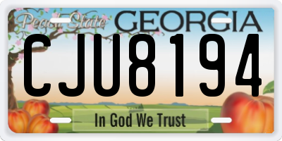 GA license plate CJU8194