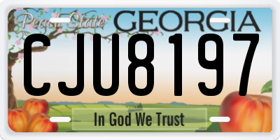 GA license plate CJU8197