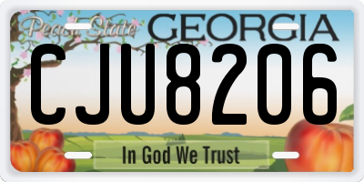 GA license plate CJU8206