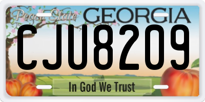 GA license plate CJU8209
