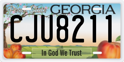 GA license plate CJU8211
