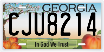 GA license plate CJU8214