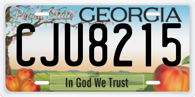 GA license plate CJU8215