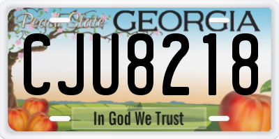GA license plate CJU8218