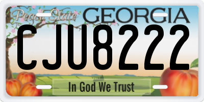 GA license plate CJU8222