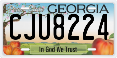 GA license plate CJU8224