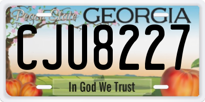GA license plate CJU8227