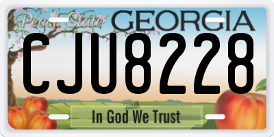 GA license plate CJU8228