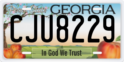 GA license plate CJU8229